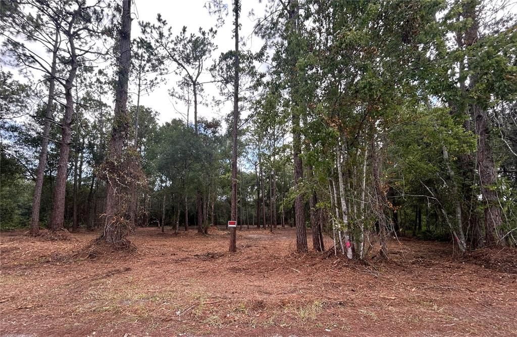 For Sale: $125,000 (2.53 acres)