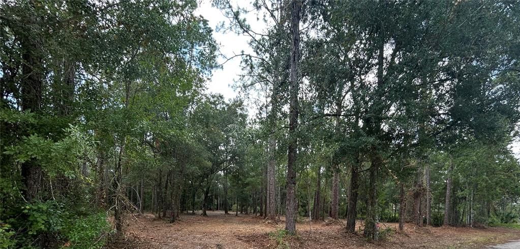 For Sale: $125,000 (2.53 acres)