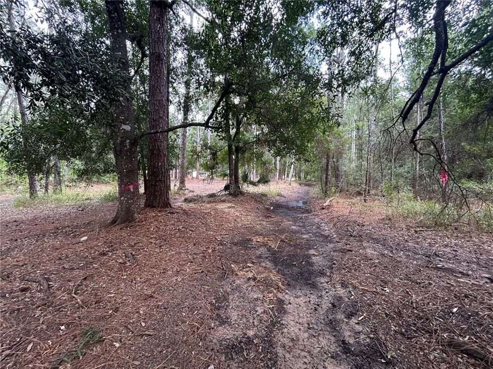 For Sale: $125,000 (2.53 acres)