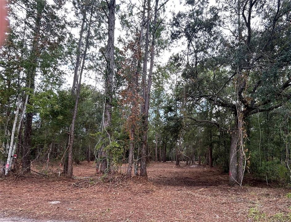 For Sale: $125,000 (2.53 acres)