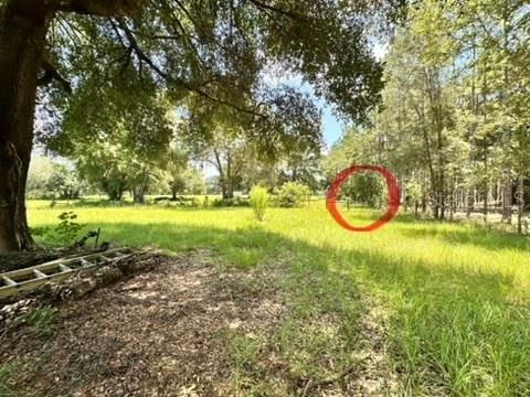 На продажу: $258,000 (3 спален, 2 ванн, 1152 Квадратных фут)
