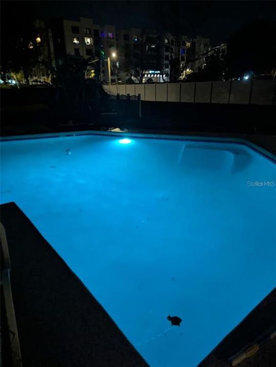 В аренду: $2,950 (3 спален, 2 ванн, 1242 Квадратных фут)