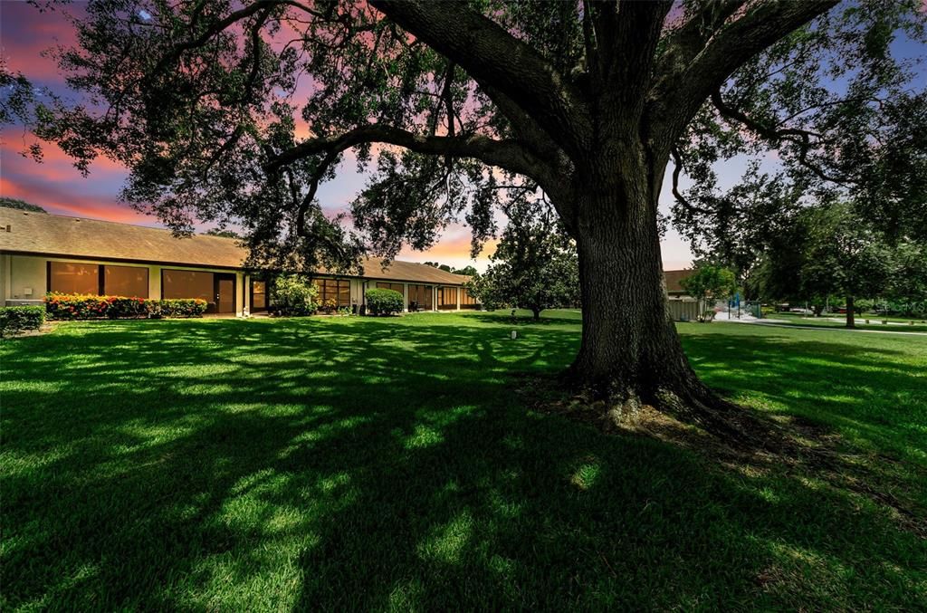 En Venta: $299,900 (2 camas, 2 baños, 1360 Pies cuadrados)