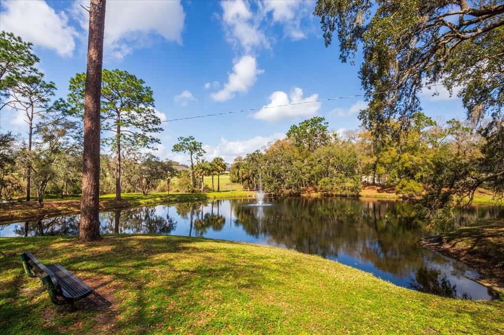 En Venta: $1,075,000 (5 camas, 3 baños, 4170 Pies cuadrados)