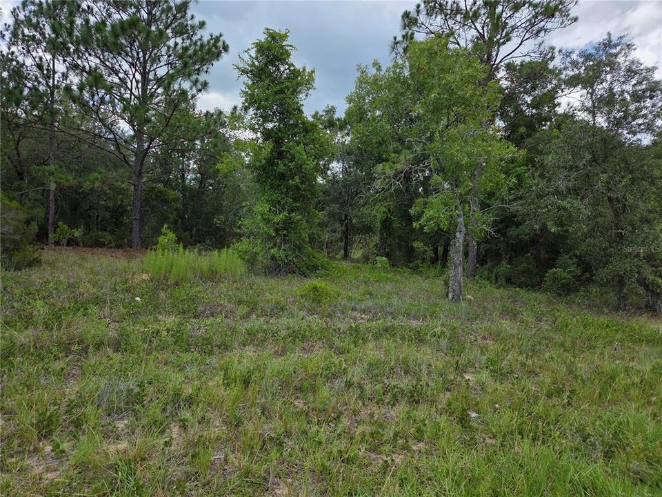 На продажу: $23,000 (0.46 acres)