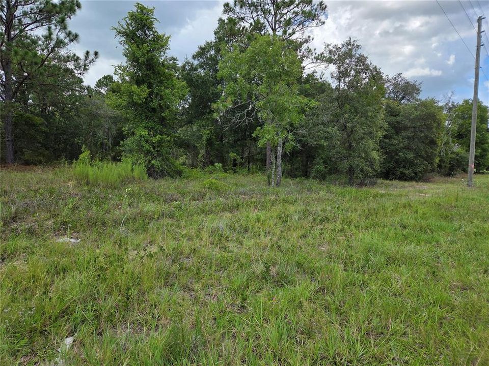 На продажу: $23,000 (0.46 acres)