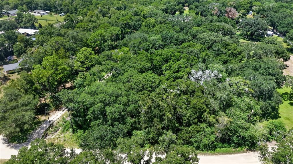 For Sale: $259,900 (3.17 acres)