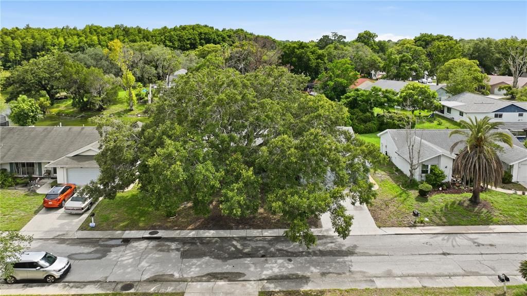 En Venta: $349,900 (3 camas, 2 baños, 1825 Pies cuadrados)