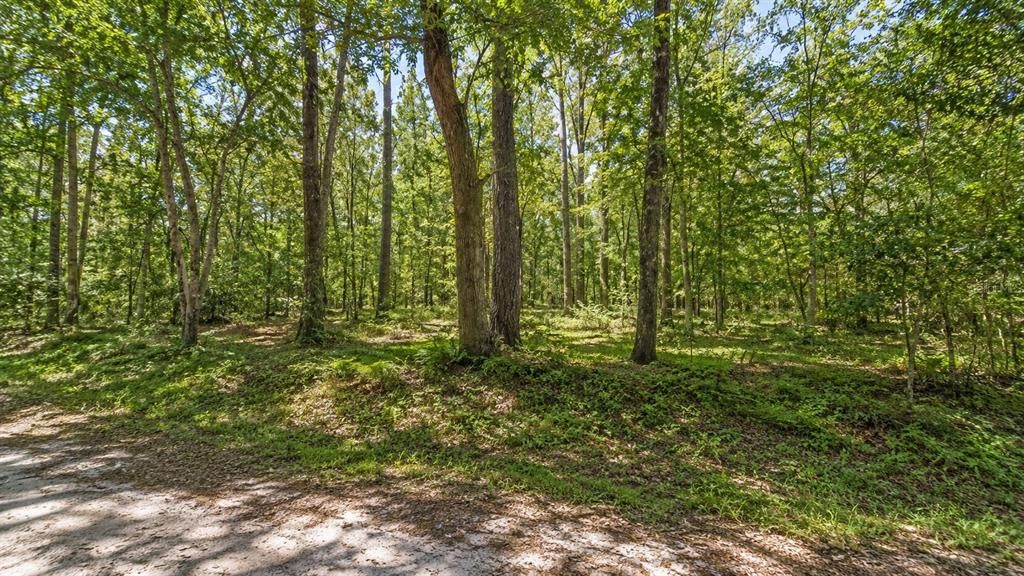En Venta: $40,000 (0.09 acres)