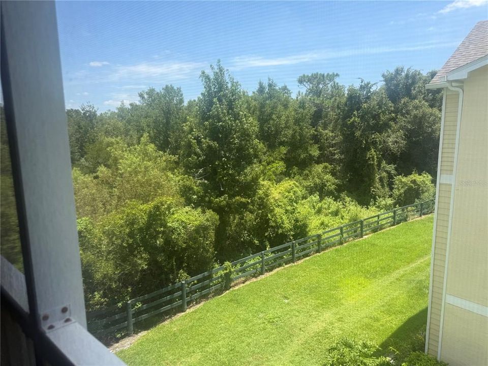 En Renta: $1,895 (3 camas, 2 baños, 1335 Pies cuadrados)