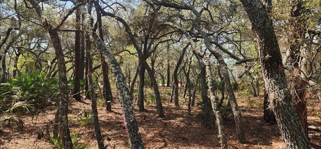 En Venta: $47,900 (0.34 acres)