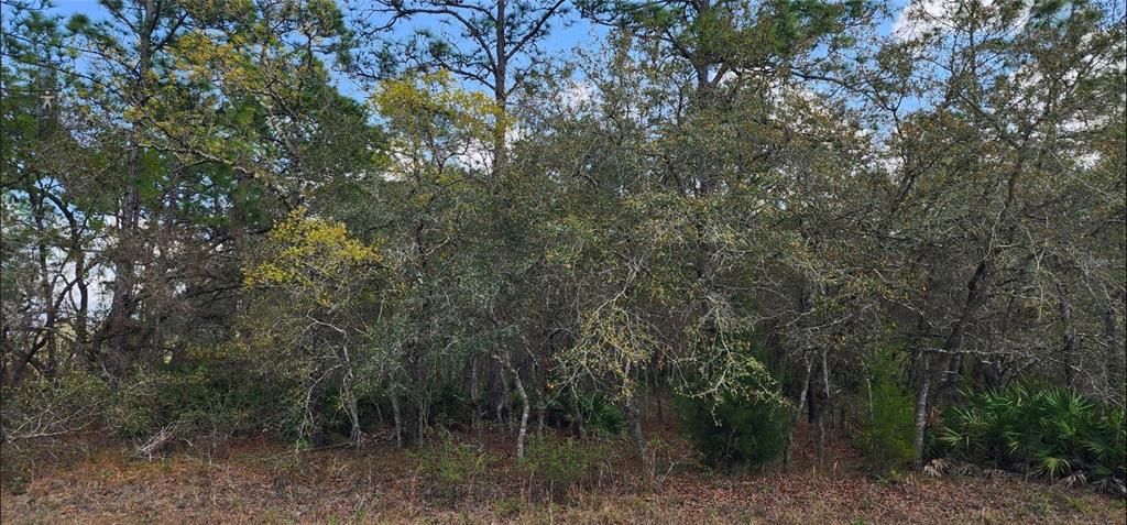 En Venta: $47,900 (0.34 acres)