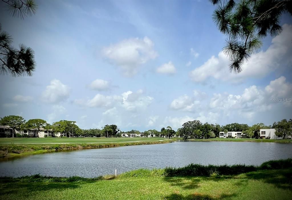 В аренду: $3,800 (2 спален, 2 ванн, 1127 Квадратных фут)
