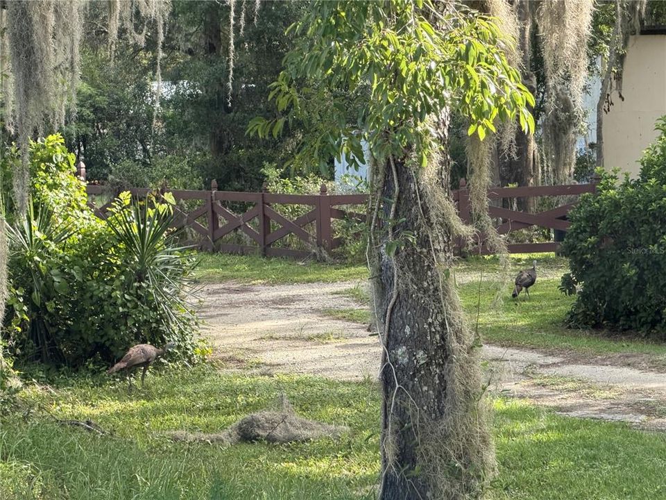 На продажу: $239,900 (3.03 acres)