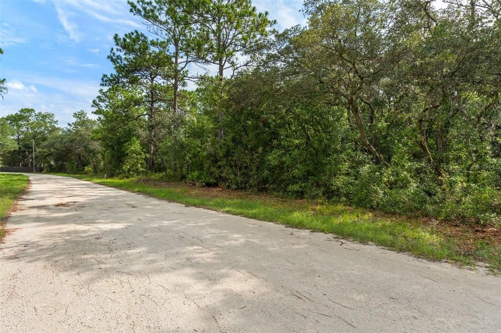 На продажу: $59,000 (1.20 acres)