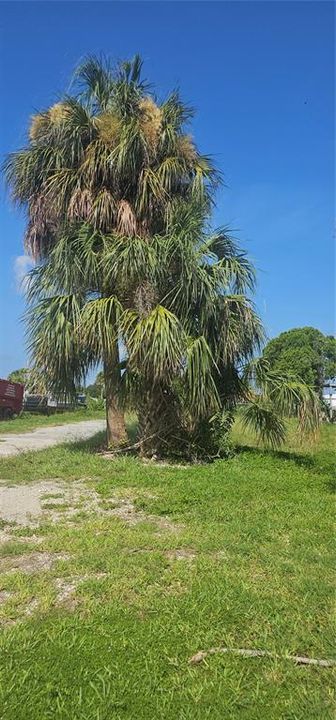 For Sale: $99,900 (0.10 acres)