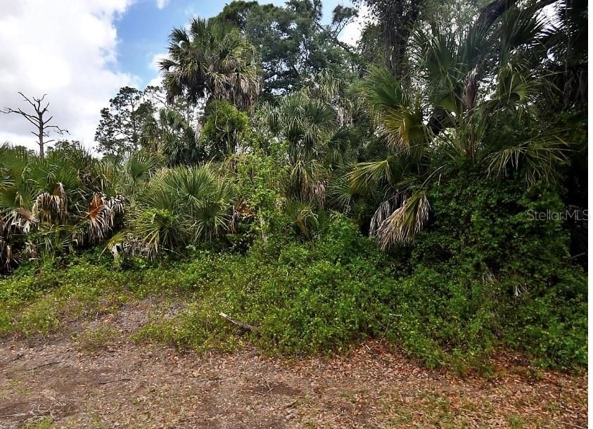 For Sale: $22,000 (0.25 acres)