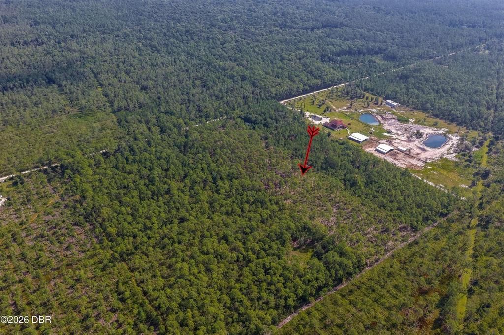 For Sale: $260,000 (10.00 acres)