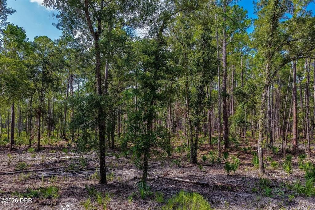 For Sale: $260,000 (10.00 acres)