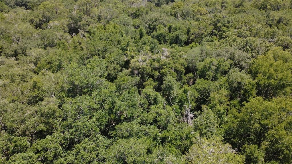 For Sale: $39,500 (1.16 acres)