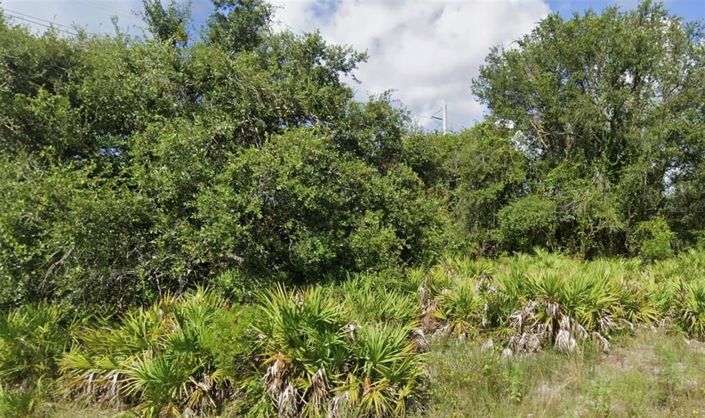 待售: $40,000 (0.29 acres)