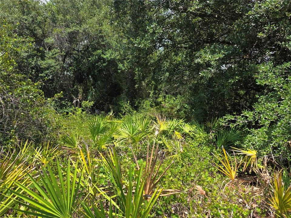 待售: $40,000 (0.29 acres)