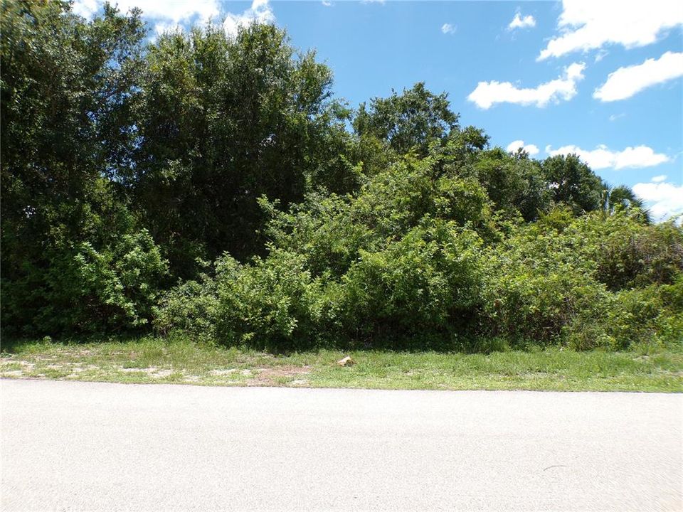На продажу: $12,990 (0.17 acres)