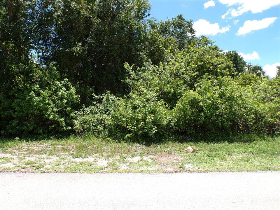 En Venta: $12,990 (0.17 acres)