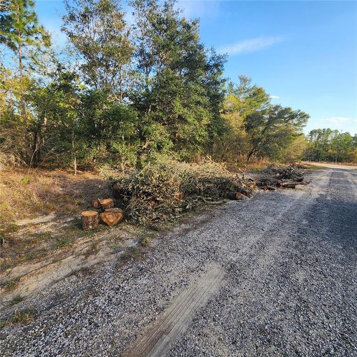 На продажу: $13,900 (0.23 acres)