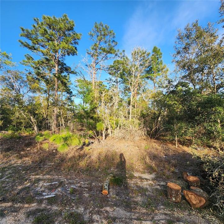 На продажу: $13,900 (0.23 acres)