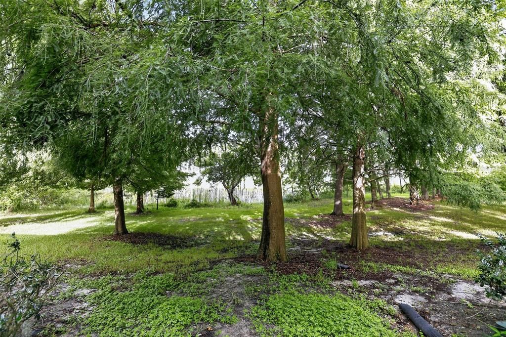 На продажу: $229,900 (2 спален, 2 ванн, 1095 Квадратных фут)