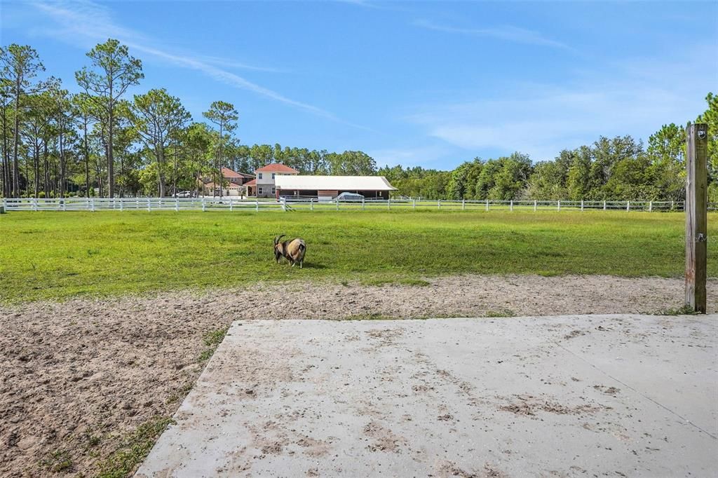 For Sale: $1,690,000 (4 beds, 4 baths, 4781 Square Feet)