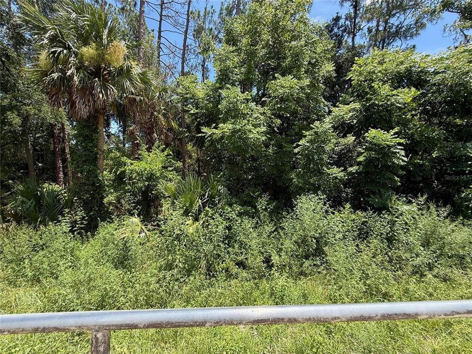 For Sale: $24,500 (0.23 acres)