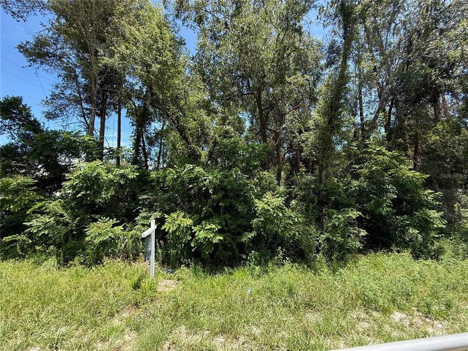 For Sale: $24,500 (0.23 acres)