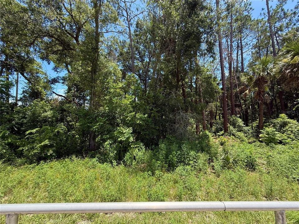 For Sale: $24,500 (0.23 acres)