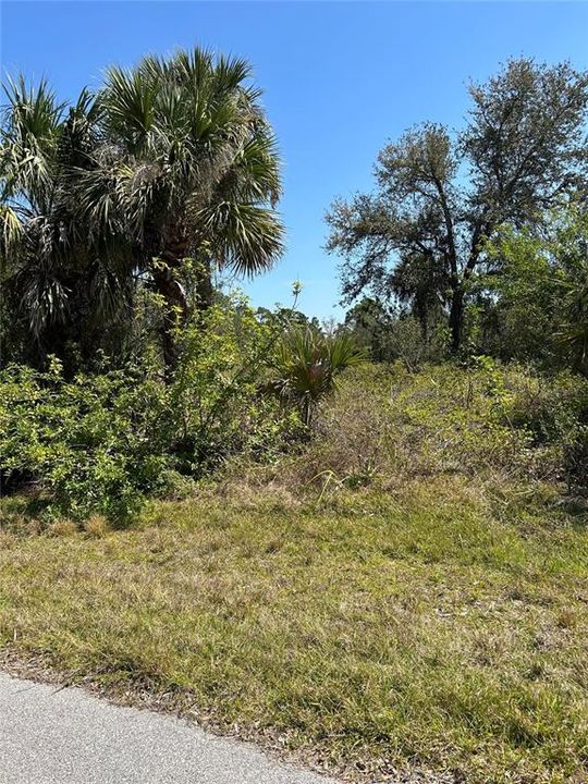 На продажу: $13,950 (0.23 acres)