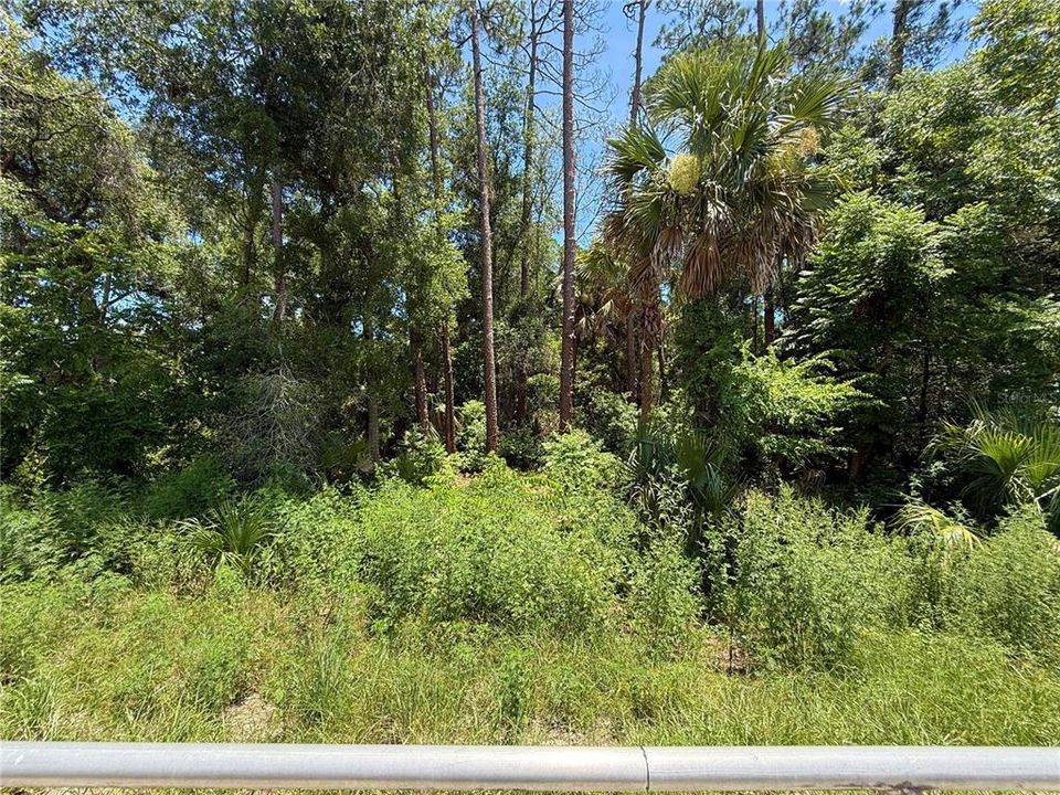 For Sale: $24,000 (0.24 acres)