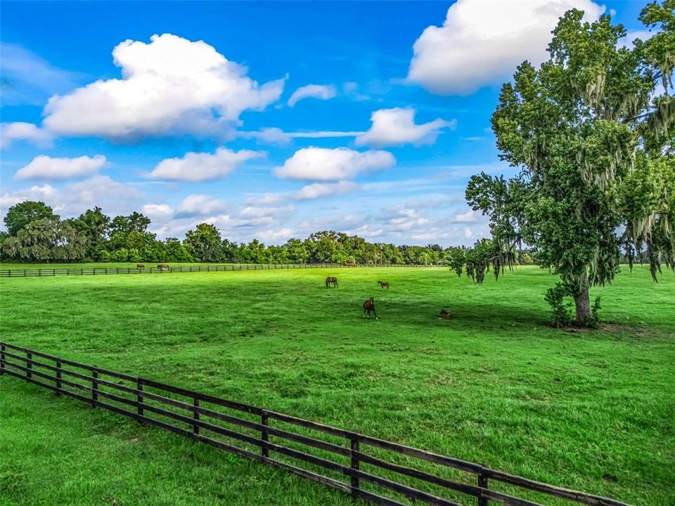 待售: $849,000 (18.43 acres)