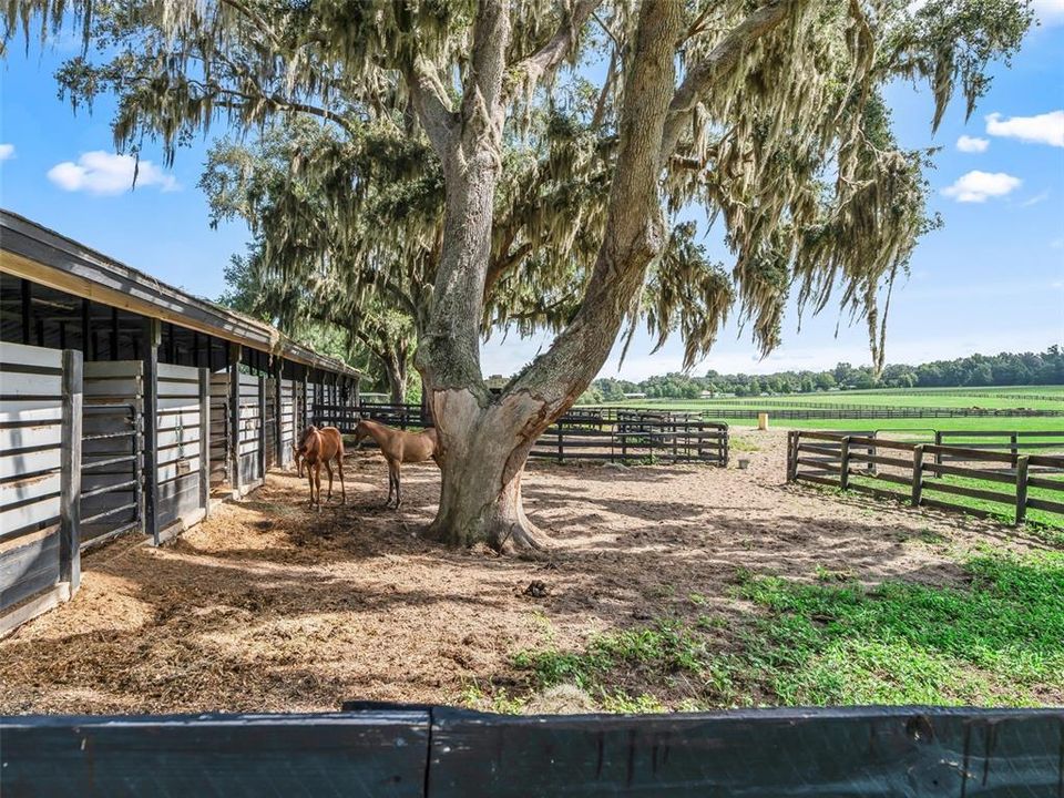待售: $849,000 (18.43 acres)