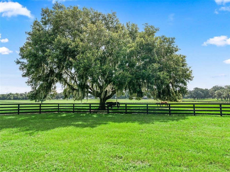 待售: $849,000 (18.43 acres)