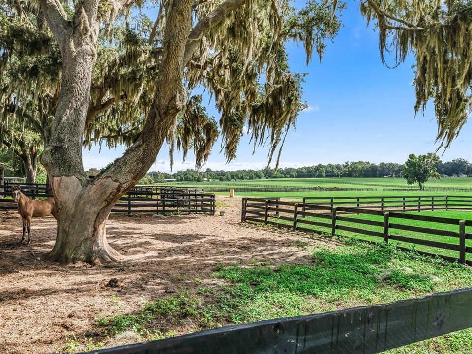 待售: $849,000 (18.43 acres)
