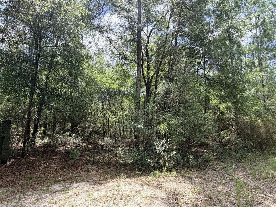 For Sale: $35,000 (1.25 acres)