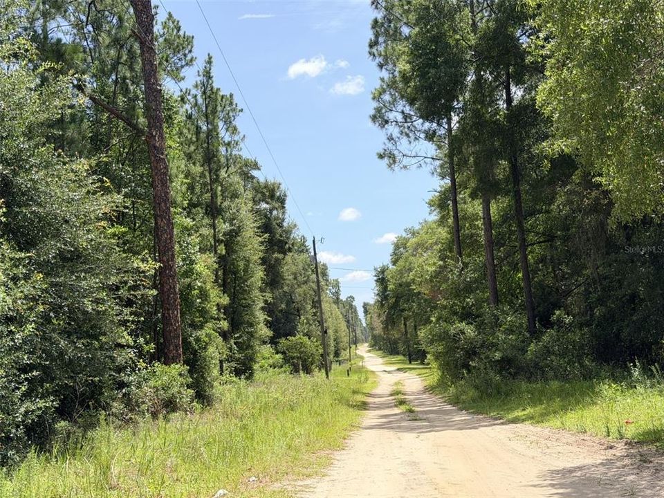 For Sale: $35,000 (1.25 acres)