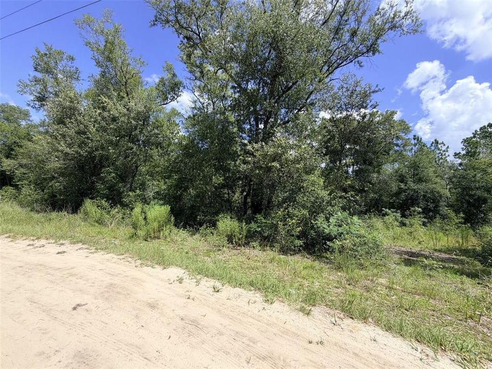 For Sale: $35,000 (1.25 acres)