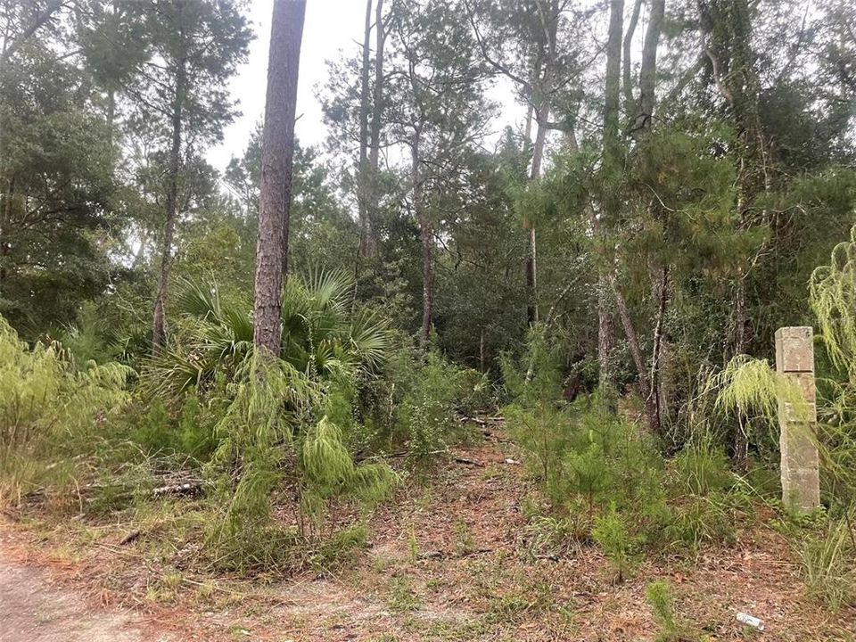 For Sale: $1,200,000 (5.01 acres)