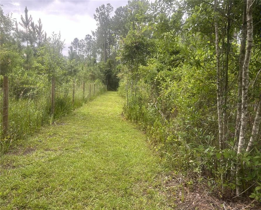 待售: $145,000 (1.14 acres)