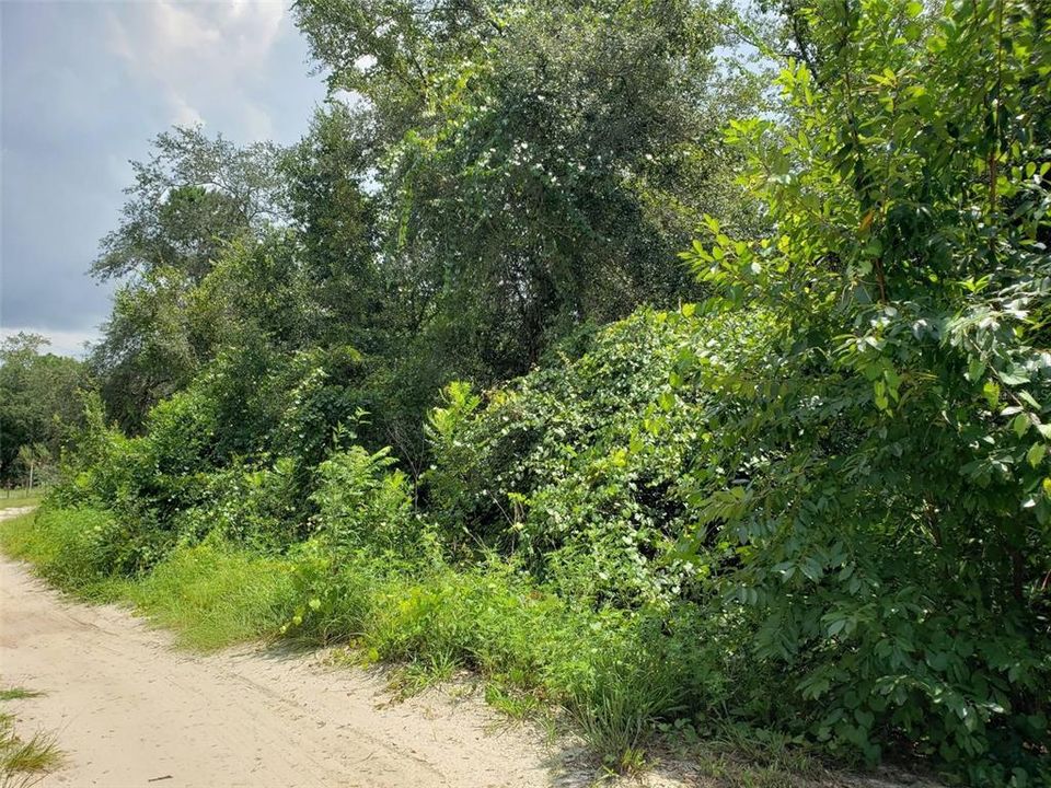 For Sale: $49,999 (0.37 acres)