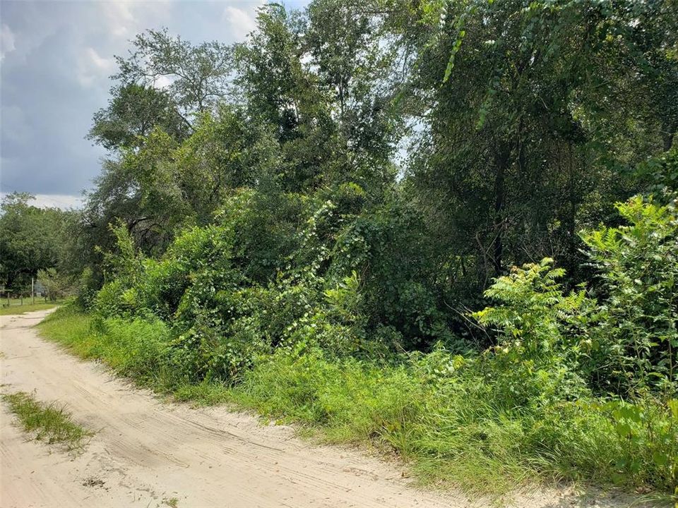 For Sale: $49,999 (0.37 acres)