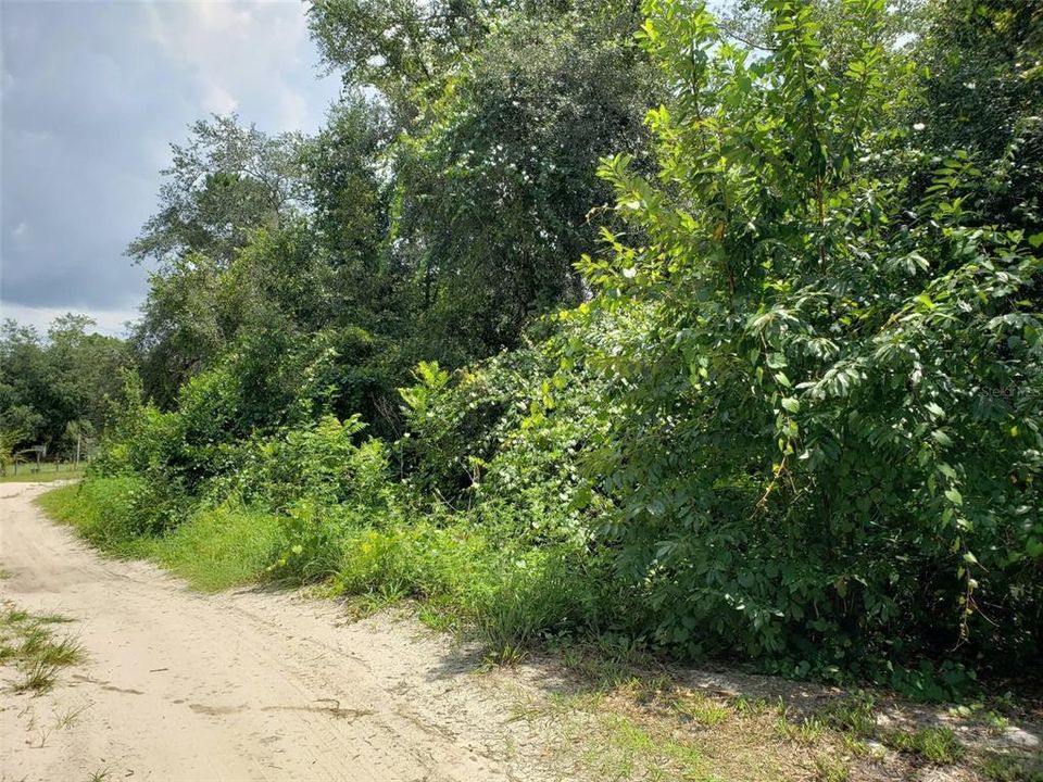 For Sale: $49,999 (0.37 acres)