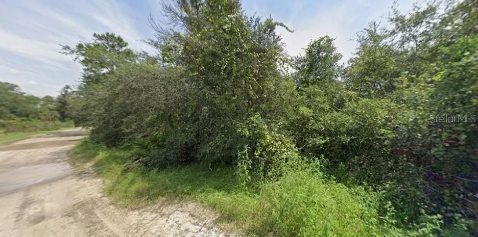 For Sale: $49,999 (0.37 acres)